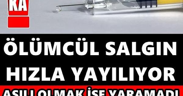 453 kişi hayatını kaybetti