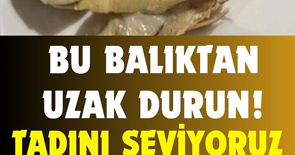 Bu Balıktan Uzak Durun.