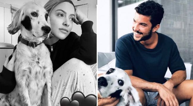 Hadise ve Kaan Y?ld?r?m Birlikteliklerinin Aras?na 'Benek' Girdi, O Nedenle Evleri Ayr?ld?