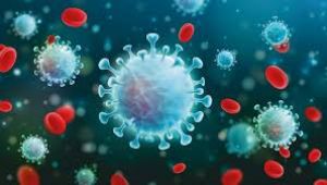 Sağlık Bakanlığı 24 Ocak Pazar Korona Virüs Günlük Ölüm Ağır Hasta ve Vaka Sayısı Açıklandı