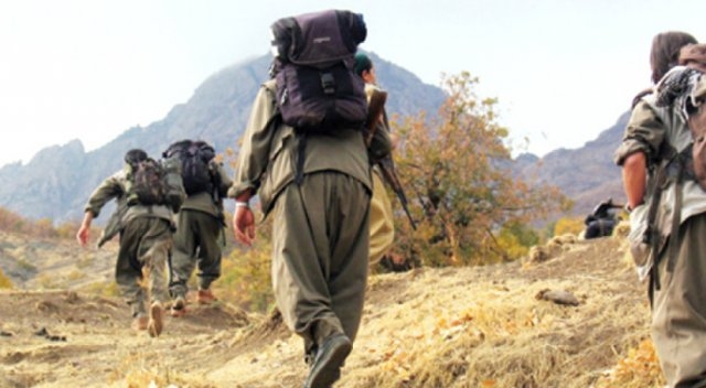 Giresun'da yap?lan operasyonda 1 pkk'l? l olarak ele geirildi