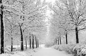 Kara K?? Geliyor Meteoroloji'den Kritik Uyar? Pazartesi Sal? ar?amba Hava Durumu O ?llere Kar Ya?acak 