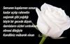 Mevlid Kandili Ka Rekat Namaz K?l?n?r Hangi Dualar Edilir,Anlaml? K?sa Sms ve WhatsApp Mesajlar? 